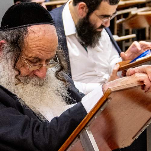 Photo #5578258