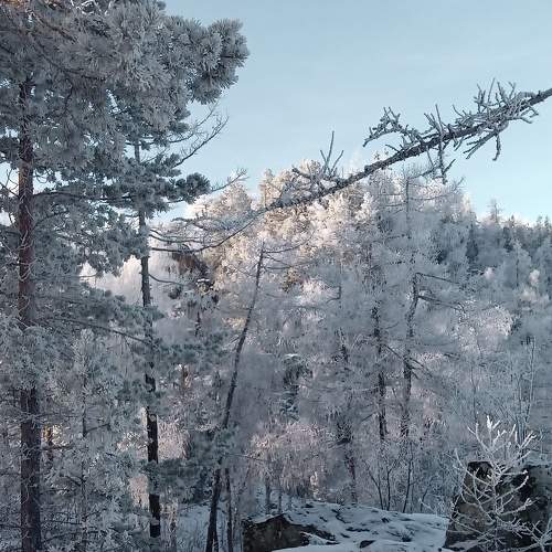 Photo #5578297
