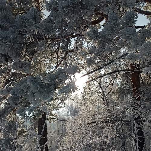 Photo #5578299