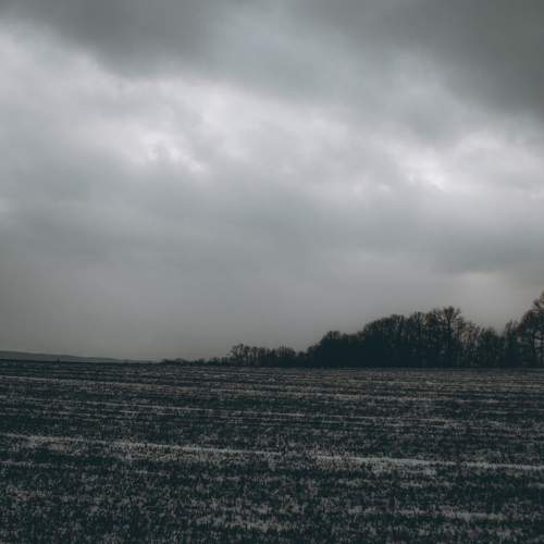 Photo #5578617