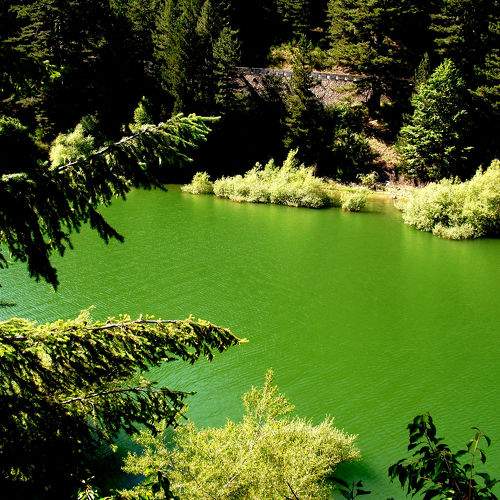 Photo #5579182