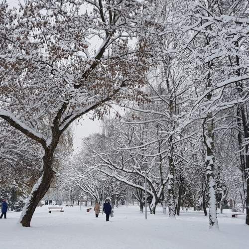 Photo #5579215