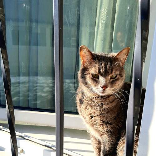 Photo #5579899