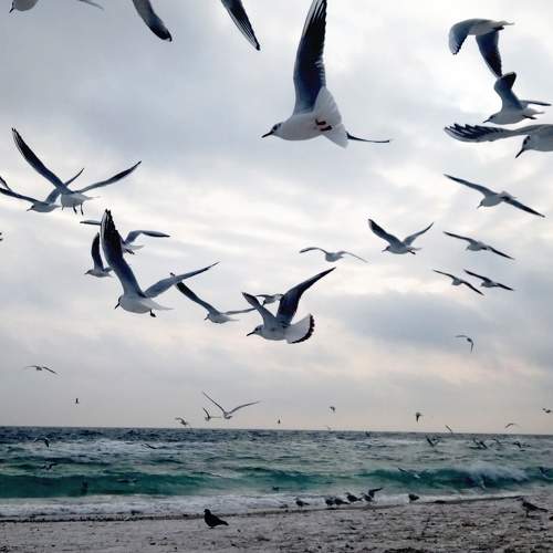 Photo #5579917