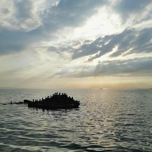 Photo #5580262