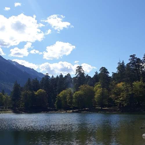 Photo #5580293