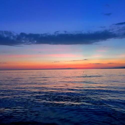 Photo #5580325