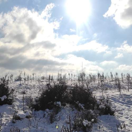 Photo #5580355