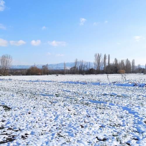 Photo #5580362