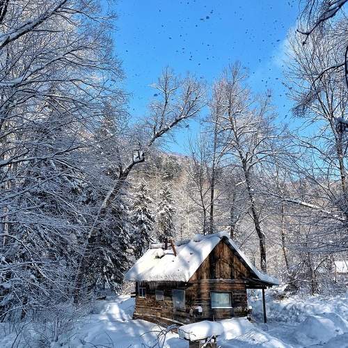 Photo #5580675