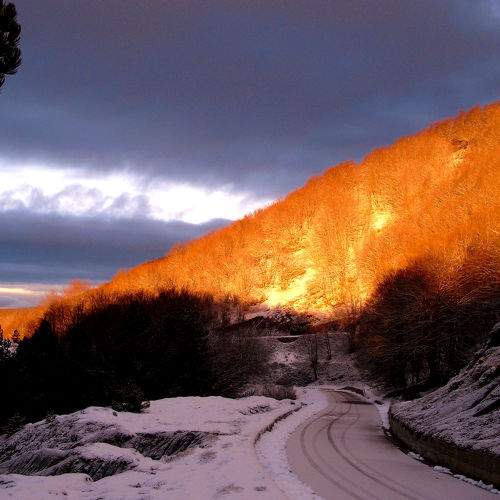 Photo #5580689