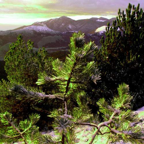 Photo #5580691