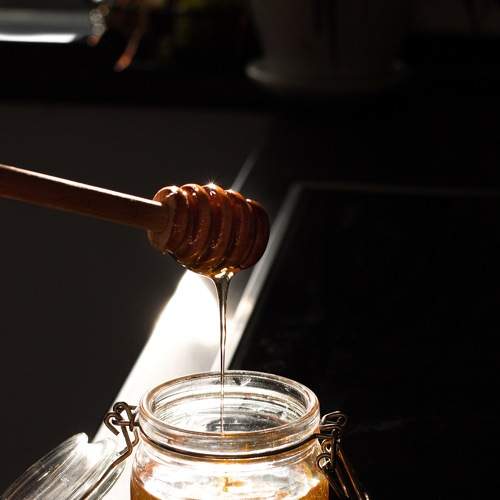 Photo #5580827