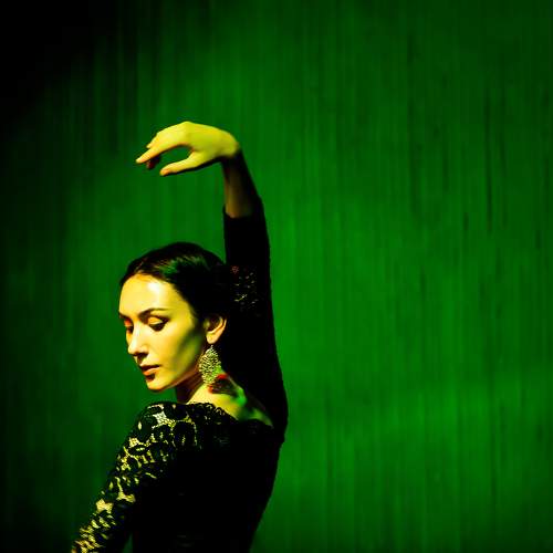 Flamenco Dancer