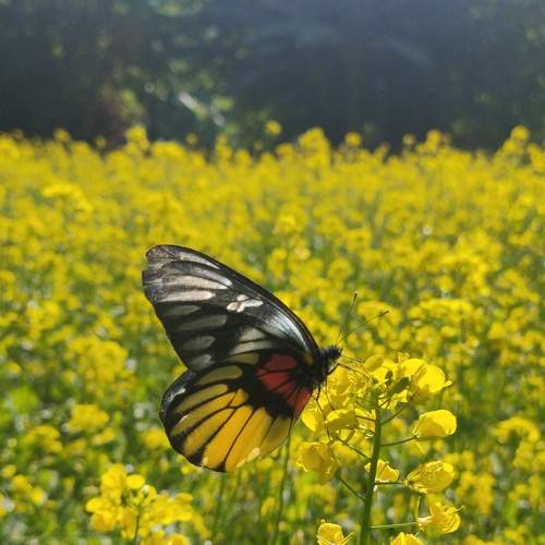 Photo #5580946