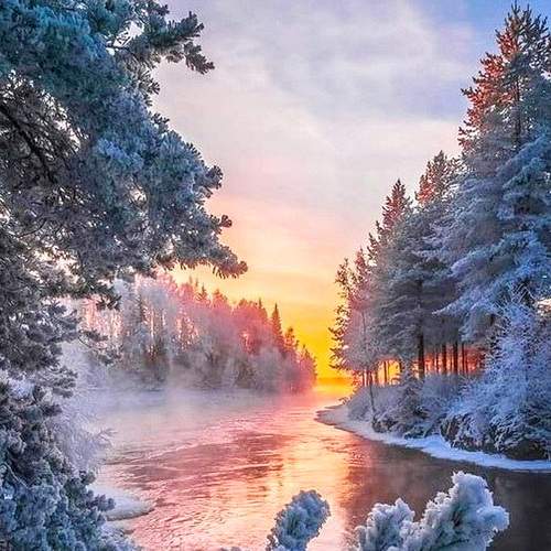 Photo #5580978