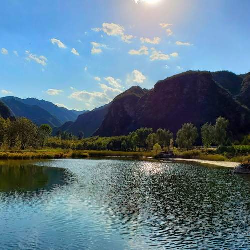 Photo #5580997