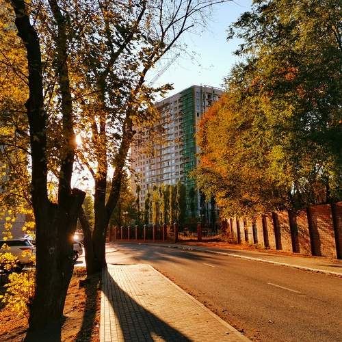 Photo #5581331