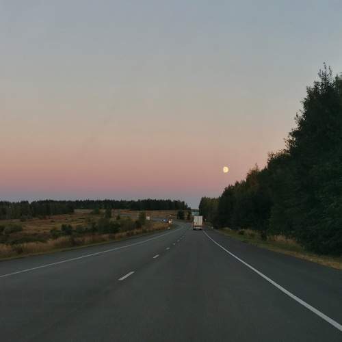Photo #5581384