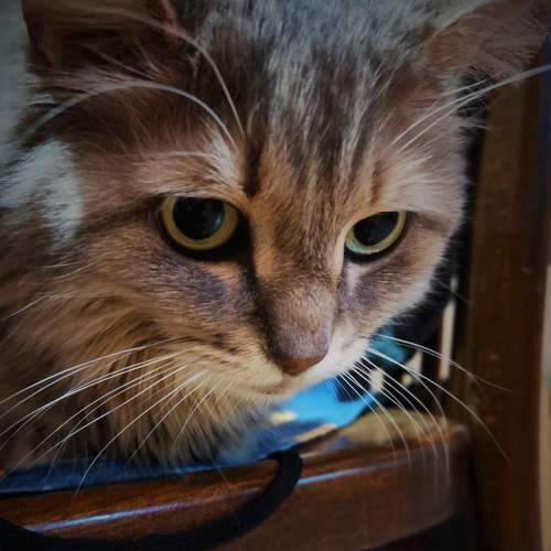 Photo #5581561