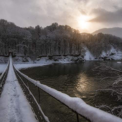 Photo #5581655
