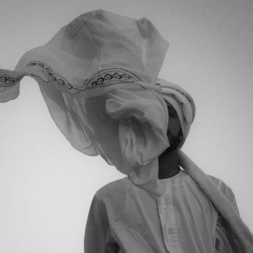 Photo #5582090