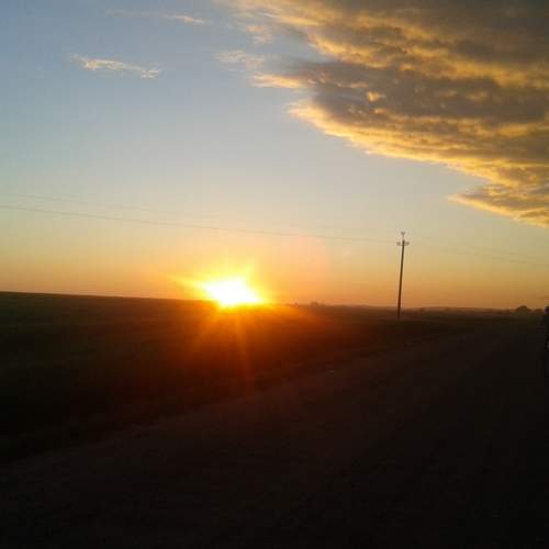 Photo #5582421