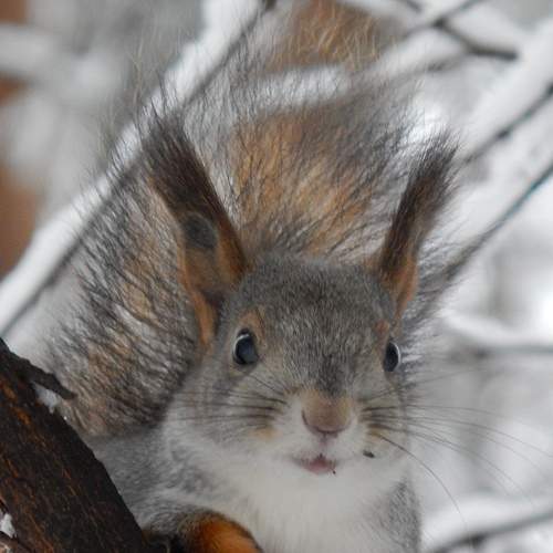 Photo #5582525