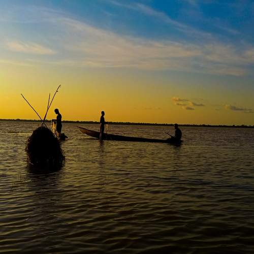 Photo #5582539
