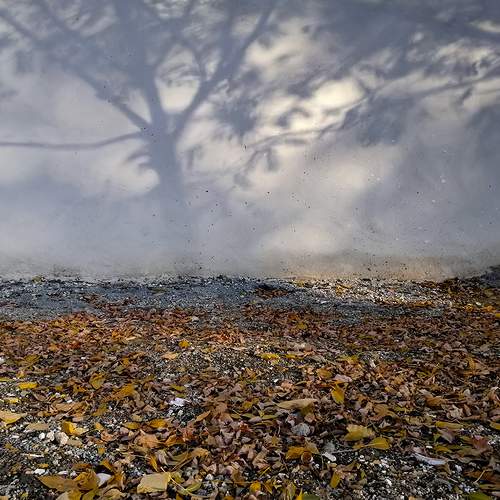 Photo #5582645