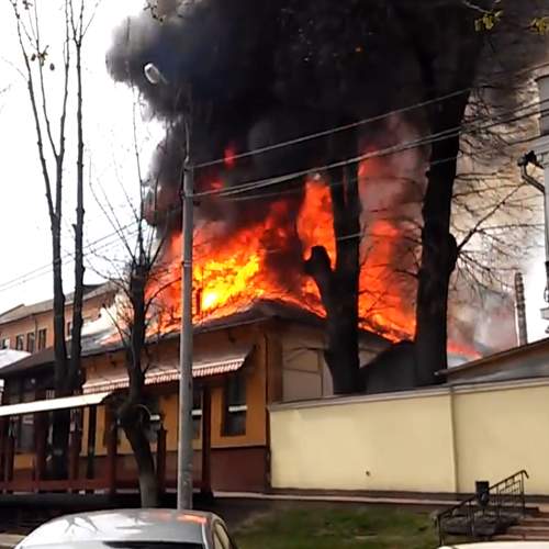 Photo #5583048