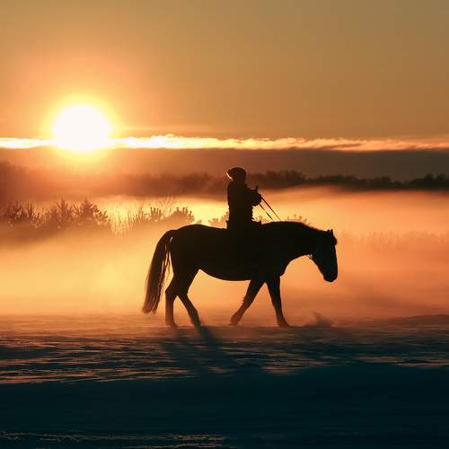Evening dreams