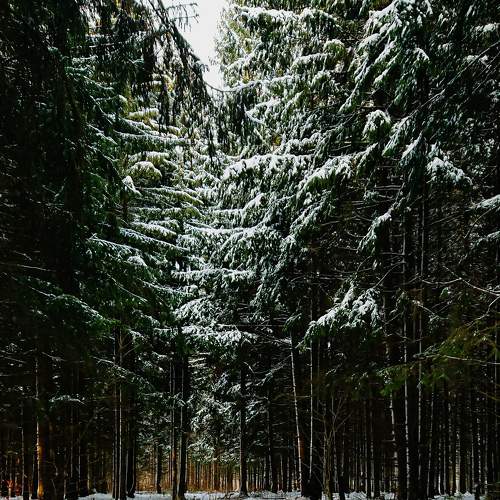 Photo #5583271