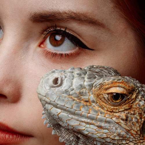 Photo #5583964