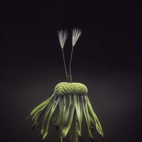 Photo #5584274