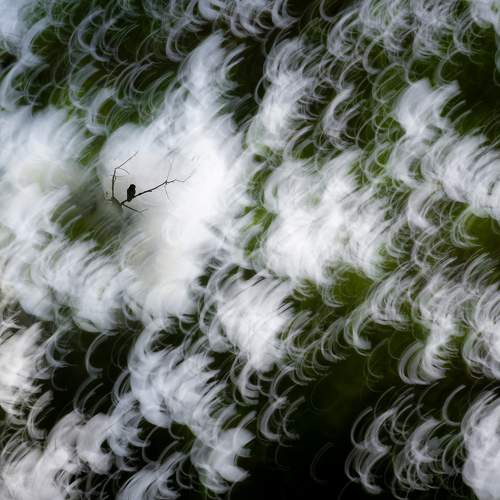 Photo #5584304