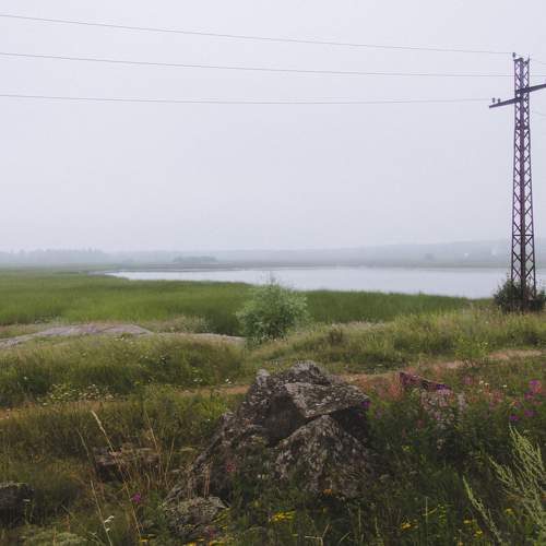 Photo #5584639