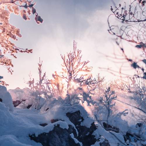 Photo #5584652