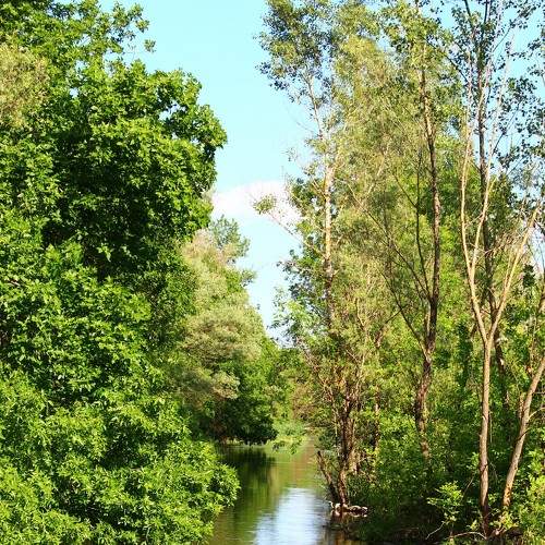 Photo #5584692