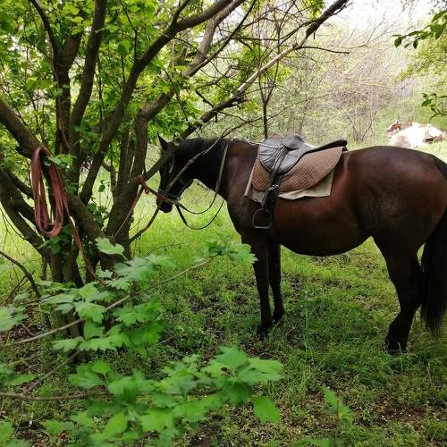 Фотография #5584694