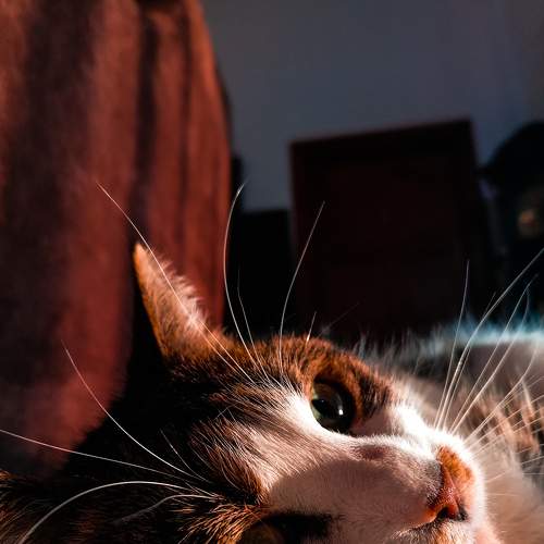 Photo #5584739