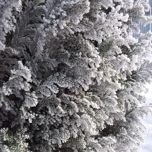 Photo #5585148