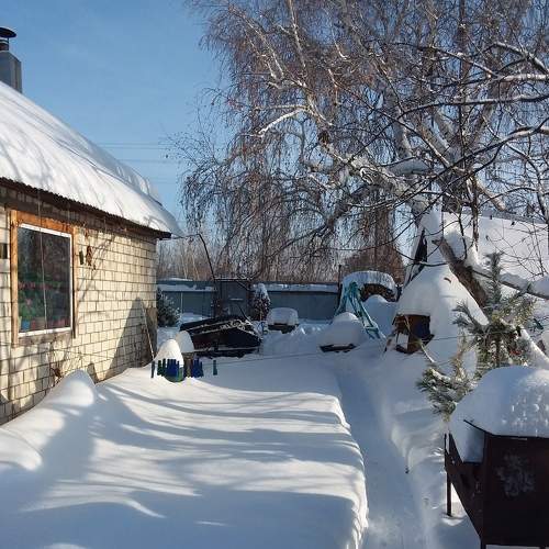 Photo #5585153