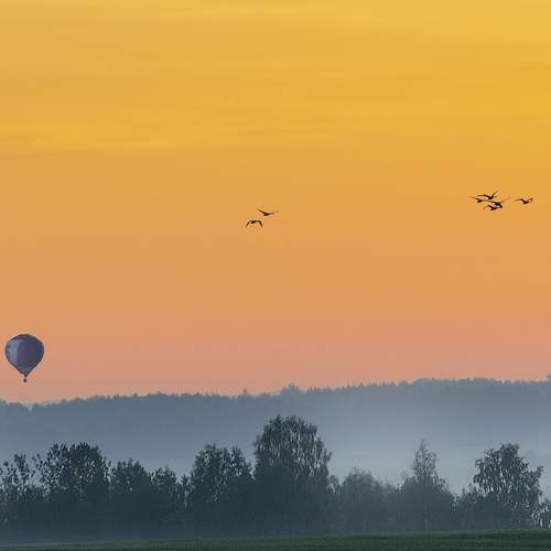 Photo #5585179