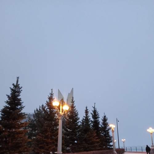 Photo #5585210