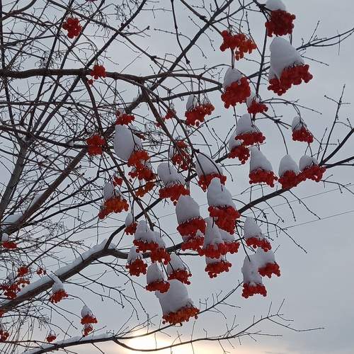 Photo #5585234