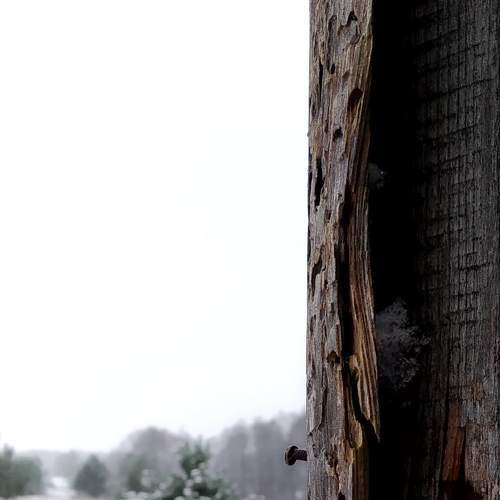 Photo #5585439
