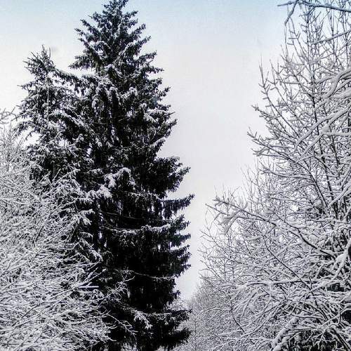 Photo #5585441