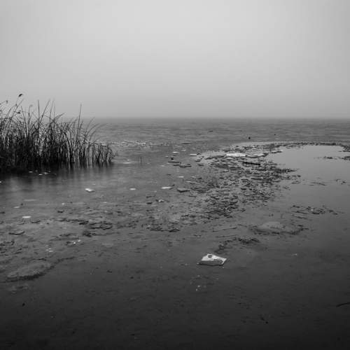Lake in the fog.