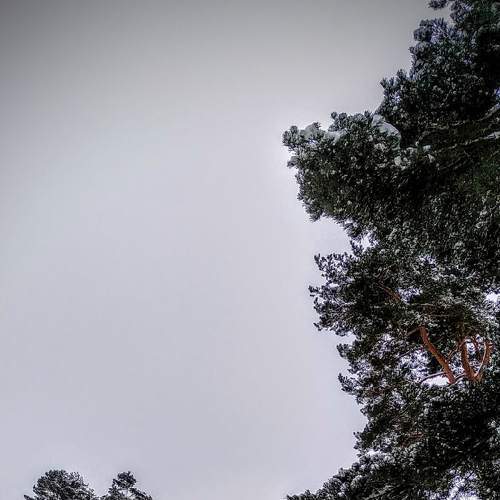 Photo #5585714